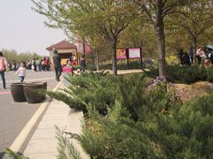 -古柏渡飞黄旅游区