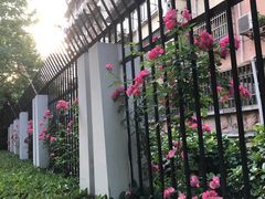 -弄堂咪道-饭香·面香·馄饨香(钦州北路田尚坊店)