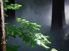 -北京植物园南门售票处