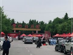 -曹州牡丹园