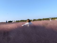 -嘉北郊野公园