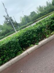 -HEYAN长风荷妍专业脱毛美肤
