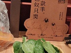 -巴奴毛肚火锅(龙湖锦艺城店)