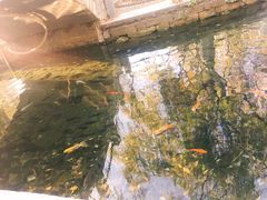-水磨沟公园