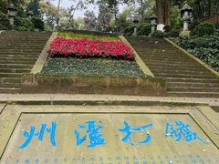 -忠山公园