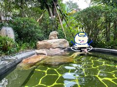 -美的鹭湖森林度假区
