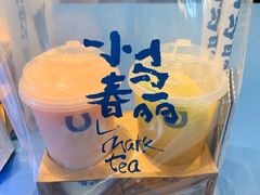 -春丽小马(济南恒隆广场店)