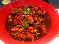 -红辣椒·川菜·火锅(张杨路店)