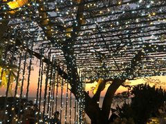 -网红落日悬崖餐厅 The Sky Gallery