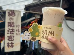 -猫的魔法密林(衣裳街店)