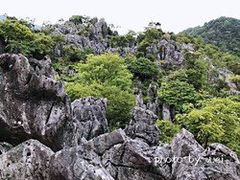 -千岛湖石林
