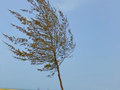 -白沙门生态公园