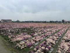 -中国天府农业博览园