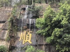 -三水森林公园