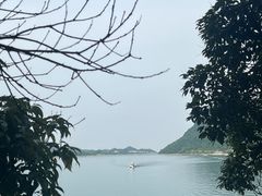 -仙岛湖旅游风景区