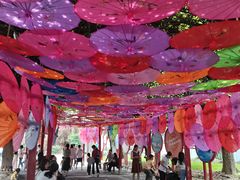 -牛鱼嘴原始生态风景区