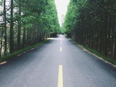-日照海滨国家森林公园
