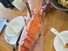 阳澄湖一号大虾-品鲜村农家菜·阳澄湖大闸蟹(总店)