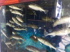 -肆月河豚·新淮扬(金融街店)