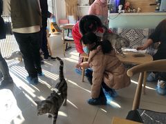 -平行世界·猫咖(首经贸店)