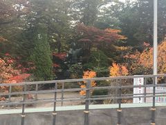 -北海道神宫