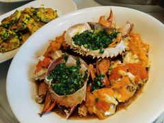 -沪碟·精菜坊(闵行店)