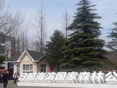 -日照海滨国家森林公园