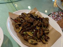 -陈家老院子(高新店)