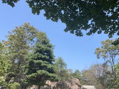 -秦岭终南山世界地质公园翠华山景区