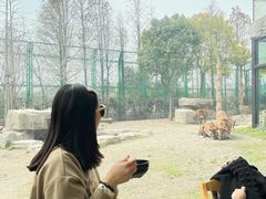 -上海野生动物园老虎餐厅