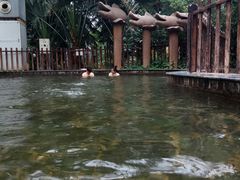 -龙达温泉生态城