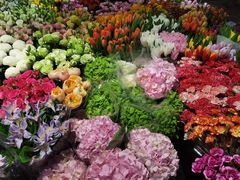 -双季花艺园艺市场(浦东店)