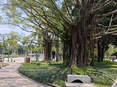 -南宁南湖公园