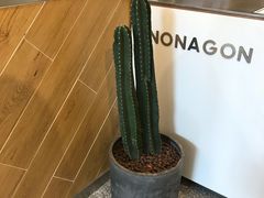 -Legno.ita Coffee by Wood(襄阳南路店)