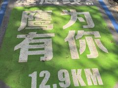 -张鸟园农家乐(张鸟园店)