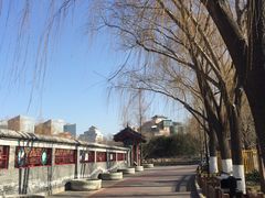 -莲花池公园
