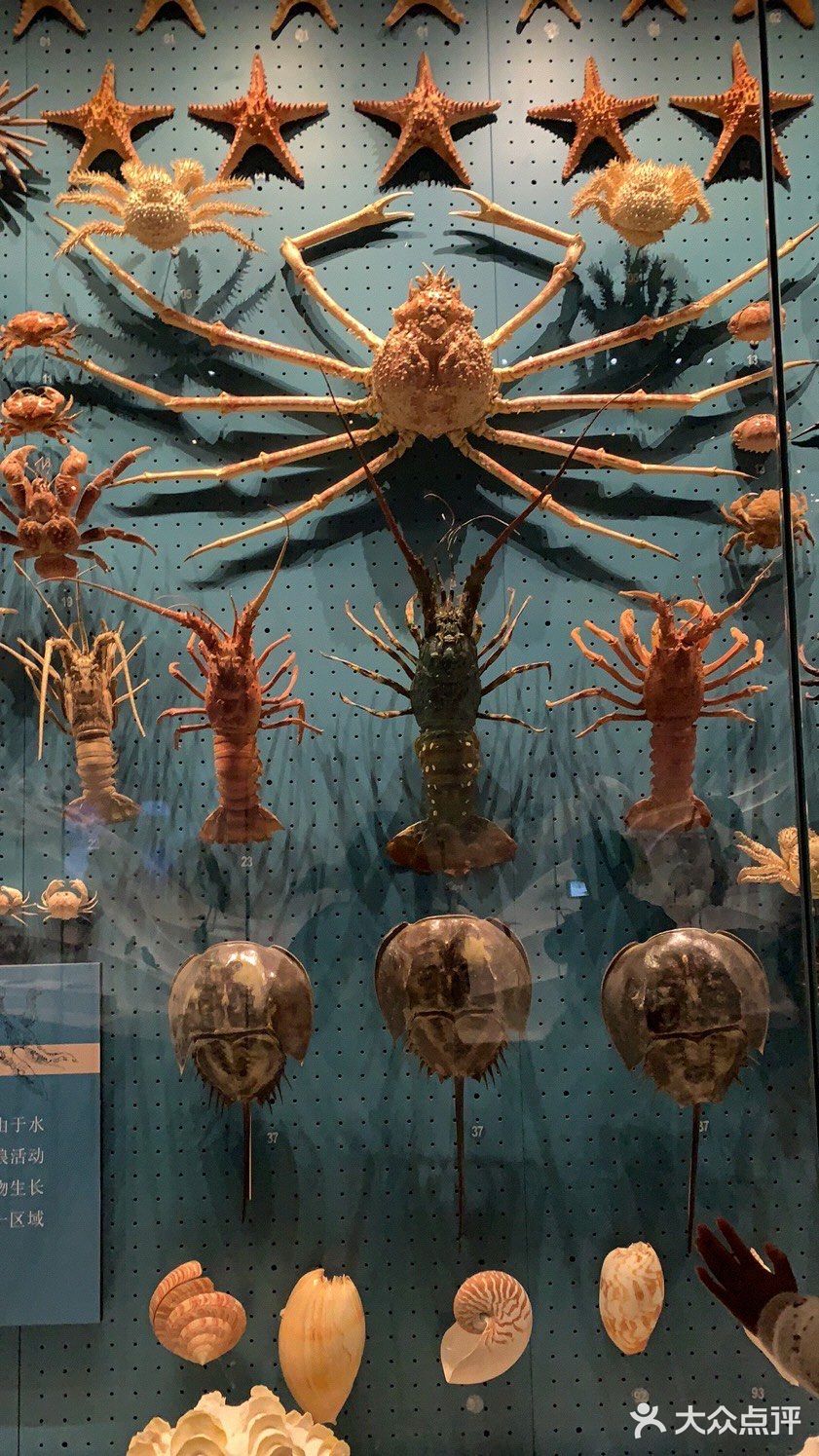国家海洋博物馆