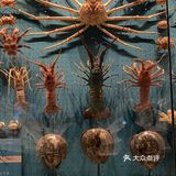 国家海洋博物馆
