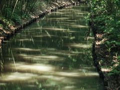 -同里国家湿地公园