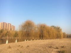 -东坝千亩湖公园