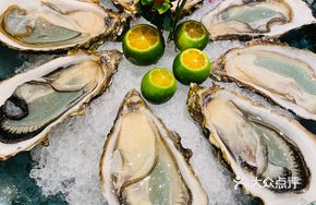 Fresh Oyster Sashimi Platter