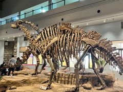 -自贡恐龙博物馆