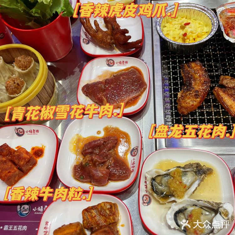 轻松实现烤肉自由🥩肉食爱好者狂喜