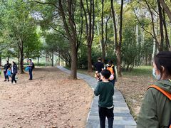 -东湖落雁景区