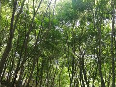 -崂山巨峰游览区
