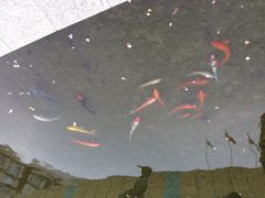 阳澄湖费尔蒙酒店-阳澄湖费尔蒙酒店