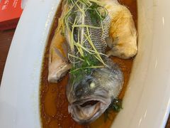 -饭怕鱼·黄焖鲟龙鱼(湖大店)