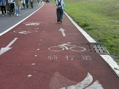 -艾溪湖湿地公园