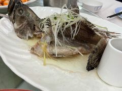 清蒸石斑-东江海鲜酒家(艺都分店)