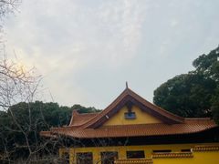 -太子山公园(园东路)